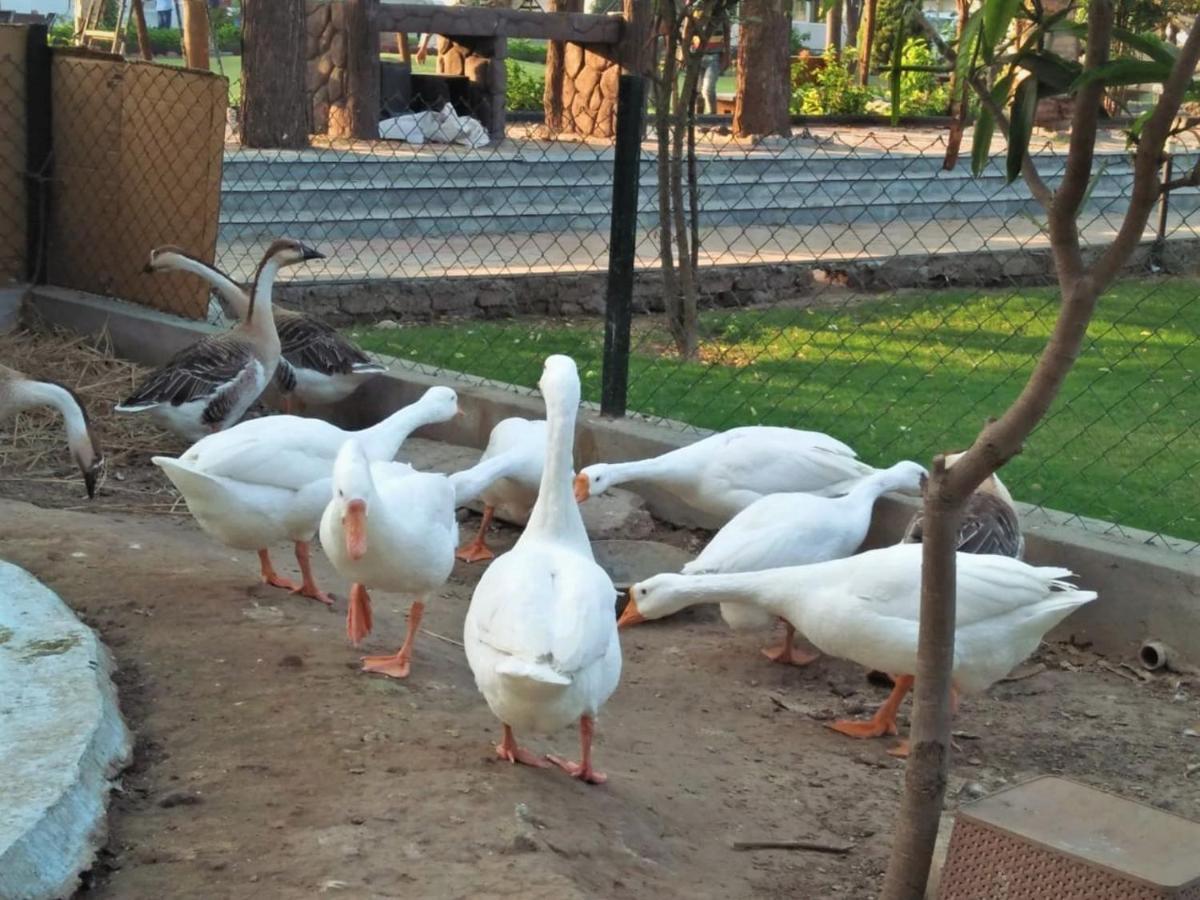 Royal Club & Resort Ahmedabad Esterno foto